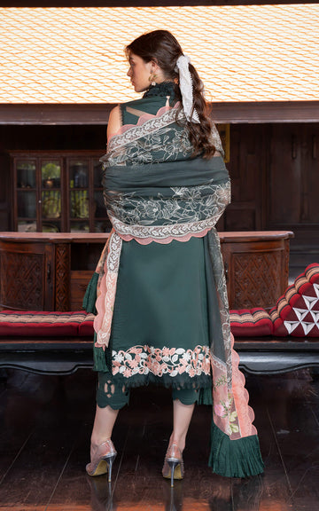Asifa N Nabeel Charisma (RRL-03) Online Shopping